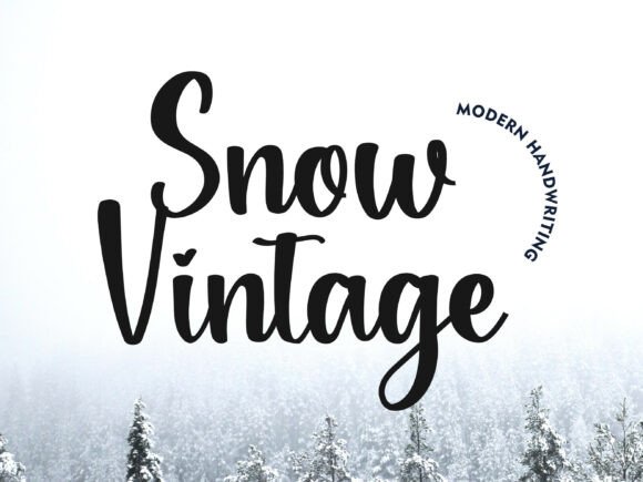 Snowvintage: Bridging Classic Charm and Modern Sophistication